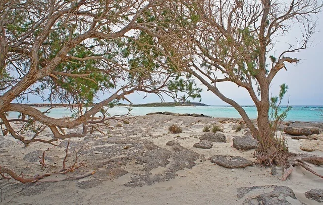 Kreta, plaża Elafonisi